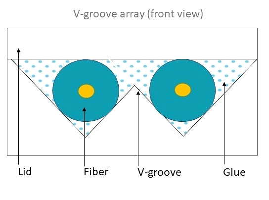 2dv1.jpg