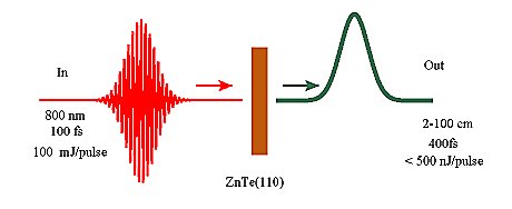znte3.jpg.jpg