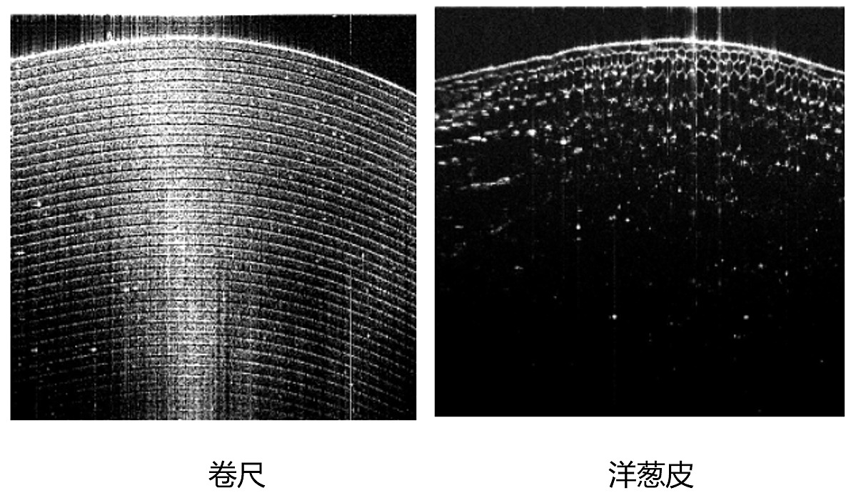 2345截圖20210130212937.jpg